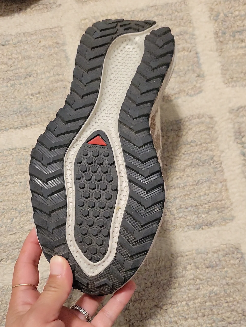 Salomon rotate loved